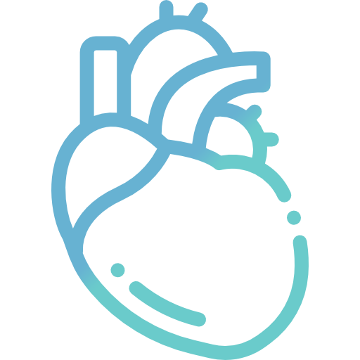 Cardiology of Healing Touch Hospital